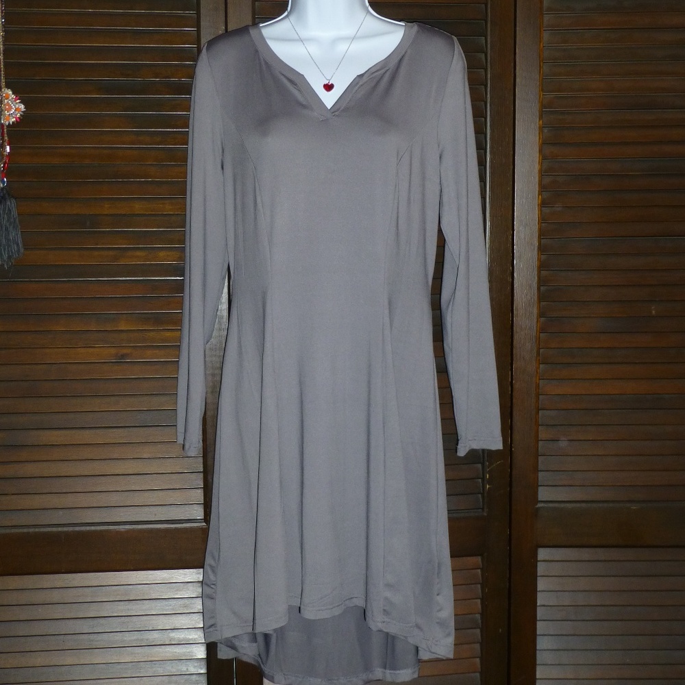 Gray Dress, Long Sleeves, V-Neck, Smooth, M, Nwt